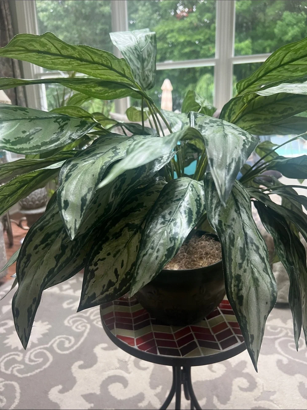 Chinese Evergreen (Aglaonema Decorative Faux Green Variegated Houseplant in Vase